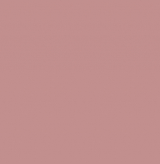 2513 LU Розовый коралл (глянец) PF